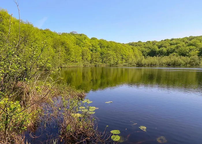 Haus Moewe - Apt. 07 Apartamento *